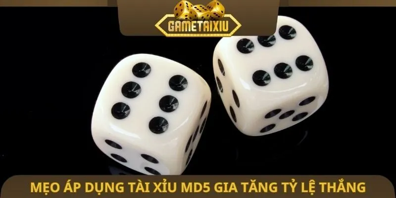 Mẹo áp dụng tài xỉu MD5 gia tăng tỷ lệ thắng